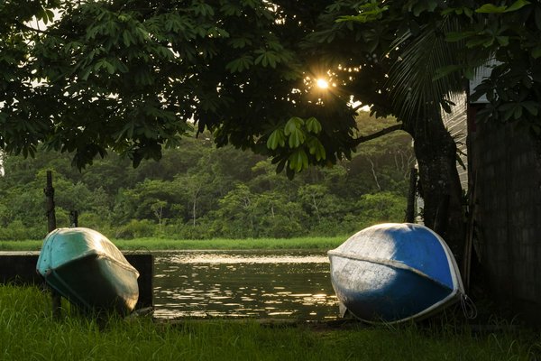 Quels sont les meilleurs spots pour observer les tortues marines en Australie : lieux et périodes recommandées ?